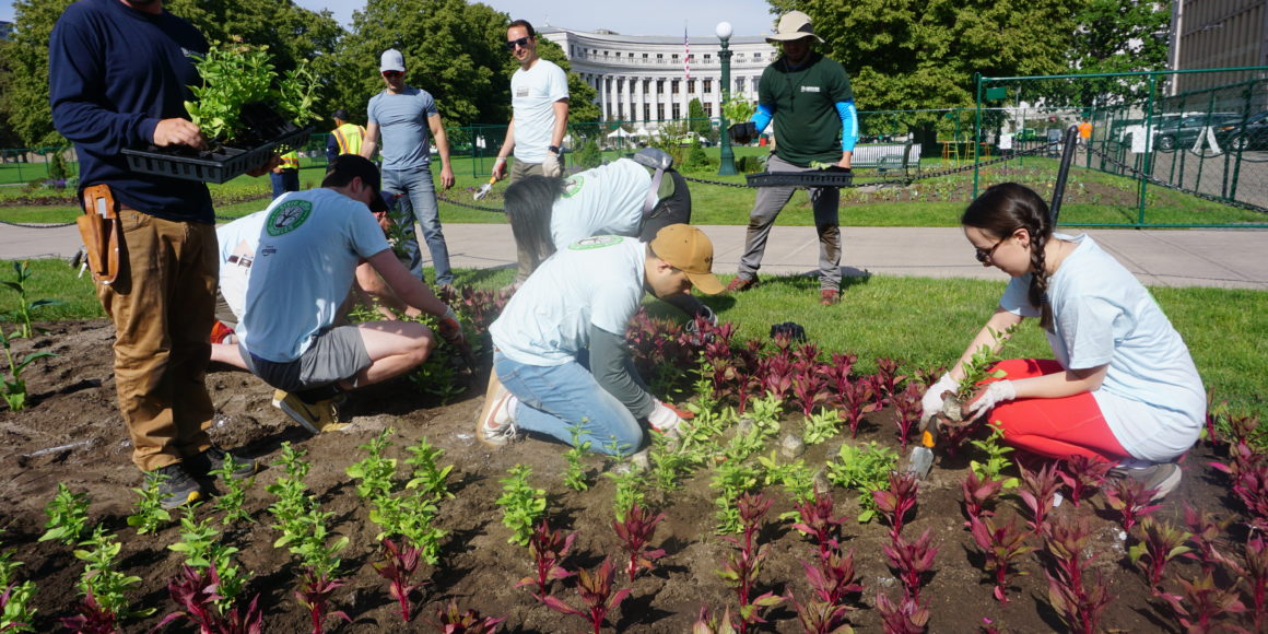 Gardening and replanting with the Civic Center Conservancy