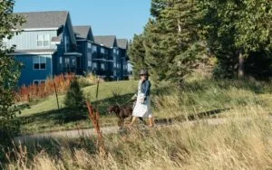 Baseline Resident Dog Walker